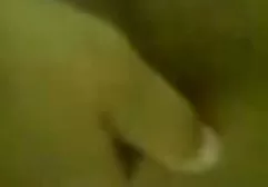 حار مواقع سكس مترجمة للعربية عشاق