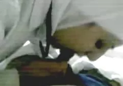 الحمار افلام سكس اجنبية مترجمة للعربية كبيرة