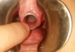 الكلاسيكية انجليكا تحميل افلام سكس مترجمة للعربية